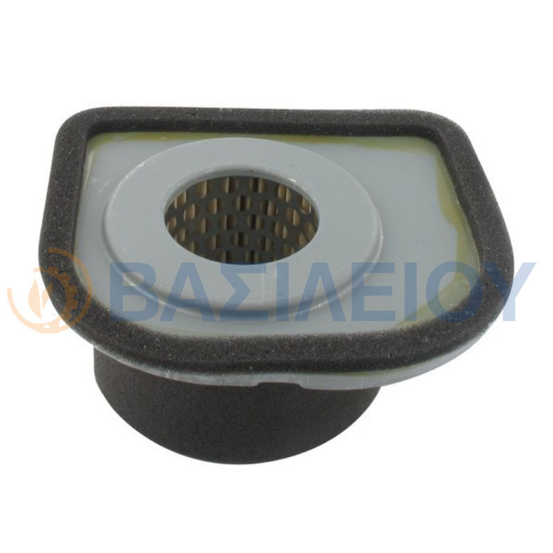 Spugna Filtro Aria Per Motori Robin EY15 - ΕΥ20